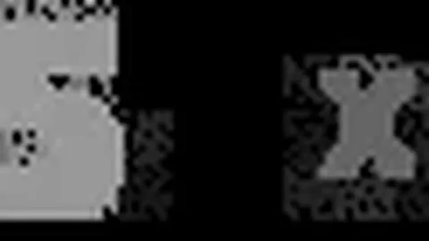 万博manbetx体育平台